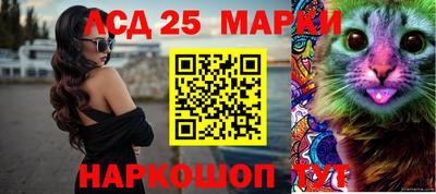 стаф Кулебаки