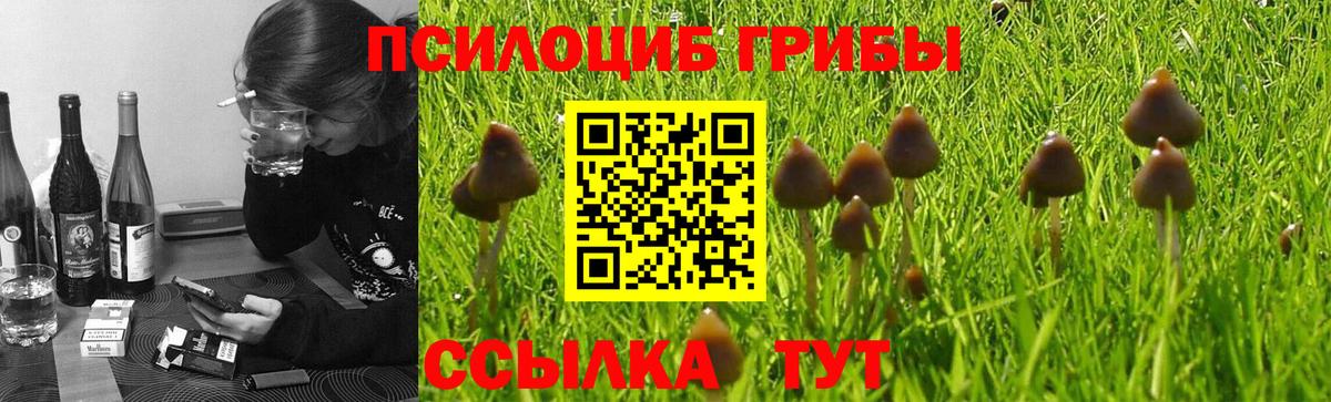 Верхний Уфалей  где купить   Вход с VPN  Галлюциногенные грибы Magic Shrooms 